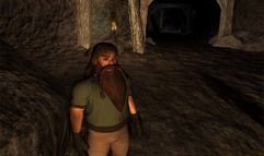 Vanguard: Saga of Heroes screenshot 8