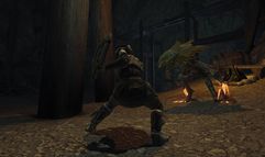 Divine Divinity II: Ego Draconis screenshot 1