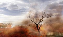 Far Cry 2 screenshot 7