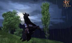 Two Worlds screenshot 8