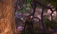 Vanguard: Saga of Heroes screenshot 15