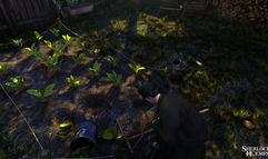 Sherlock Holmes: The Testament of Sherlock Holmes screenshot 2