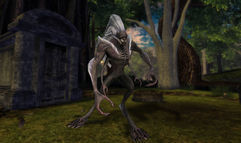 Dungeons & Dragons Online: Menace of the Underdark screenshot 3