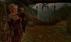 Dragon Age: Origins screenshot 9