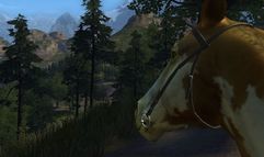 Call of Juarez screenshot 10
