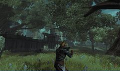 Divinity 2: Ego Draconis screenshot 18