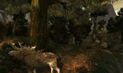 Age of Conan: Hyborian Adventures screenshot 3