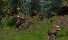 Wildlife Park 2 screenshot 5