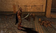 Vanguard: Saga of Heroes screenshot 16