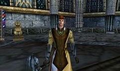 Knight Online screenshot 11