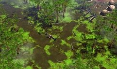 Age of Empires III screenshot 4