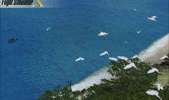 Flight Simulator X screenshot 6