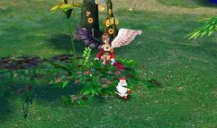 Tales of Pirates screenshot 1