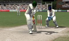 Cricket 07 screenshot 9