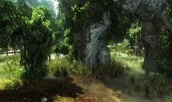 Risen screenshot 3