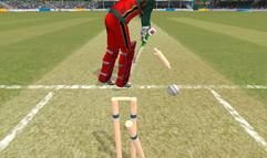 Brian Lara International Cricket 2005 screenshot 12