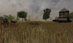 Red Orchestra: Ostfront 41-45 screenshot 10