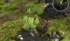 The Bard's Tale screenshot 7