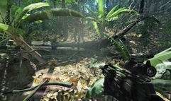 Crysis screenshot 6