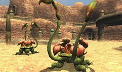 Final Fantasy XI Online: Wings of the Goddess screenshot 15