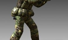 Battlefield 2 screenshot 5