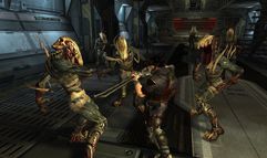 Collapse screenshot 5