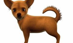 I Love Puppies! screenshot 4