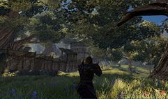 Divinity 2: Ego Draconis screenshot 21
