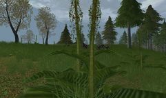 Age of Mourning screenshot 25
