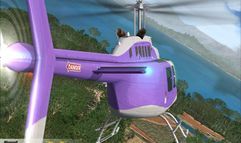 Flight Simulator X screenshot 11