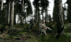 ArmA II screenshot 2