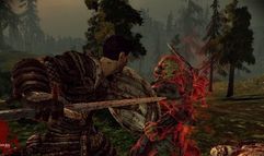 Dragon Age: Origins screenshot 11