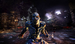 Hunted: The Demon's Forge screenshot 6