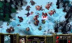 Warcraft III: Reign of Chaos screenshot 8
