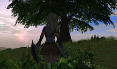 Lineage II: The Chaotic Chronicle screenshot 4
