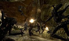 Aliens vs. Predator screenshot 3