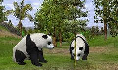 Wildlife Park 2 screenshot 1