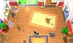 I Love Kittens! screenshot 7