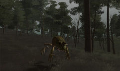 Vanguard: Saga of Heroes screenshot 4