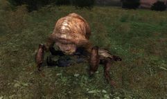 S.T.A.L.K.E.R.: Shadow of Chernobyl screenshot 4