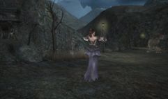 Sword of the New World screenshot 15