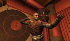 Vanguard: Saga of Heroes screenshot 14