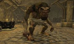 Neverwinter Nights 2 screenshot 1