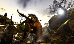 Age of Conan: Hyborian Adventures screenshot 2