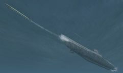Silent Hunter III screenshot 26