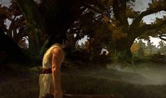 Age of Conan: Hyborian Adventures screenshot 1