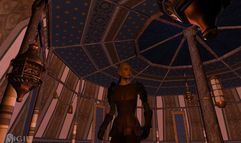 Vanguard: Saga of Heroes screenshot 2