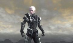 Guild Wars Factions screenshot 66