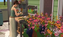 The Sims 2: Open for Business screenshot 6