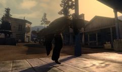 Call of Juarez screenshot 11